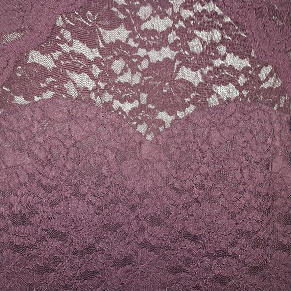 Express Lace Dress - Picture 10 of 12